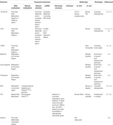 Epigenetic Transgenerational Inheritance of the Effects of Obesogen Exposure